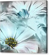 Grises De Primavera Acrylic Print