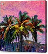 S Grove Of Coconut Trees - Square Acrylic Print