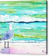 Gull Acrylic Print