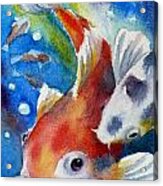 Gustave The Koi Fish Acrylic Print
