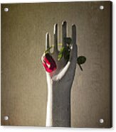 Hand Holding Rose Acrylic Print