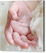 Hand Of An Angel Acrylic Print