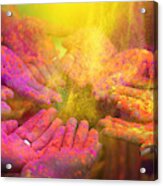 Hands And Colorful Powders Of The Holi Festival Acrylic Print