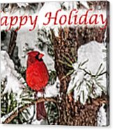 Happy Holidays Cardinal Acrylic Print