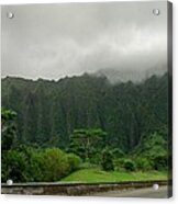 Hawaiian Rain Forest Acrylic Print