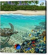 Hawaiian Sea Turtle Acrylic Print