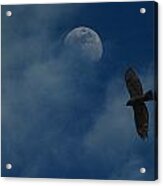 Hawk And Moon Coming Out Of The Mist Acrylic Print