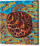 Hawksbill Sea  Turtle And  Snappers Acrylic Print