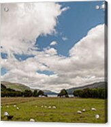 Heavenly Bowl Acrylic Print