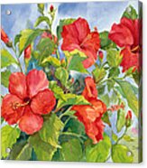 Heavenly Hibiscus Acrylic Print