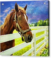Hello From The Bluegrass State Acrylic Print