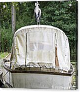 Heron Perched On Boat Acrylic Print