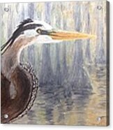 Heron Acrylic Print