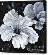 Hibiscus 2 Acrylic Print