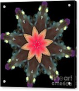 Hibiscus Mandala Acrylic Print