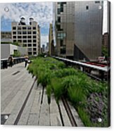 High Line Nyc Acrylic Print