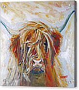 Highland Cow Acrylic Print