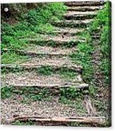 Hillside Steps Acrylic Print