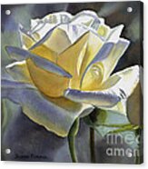 White And Gold Watercolor Rose Acrylic Print