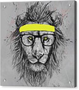Hipster Lion Acrylic Print