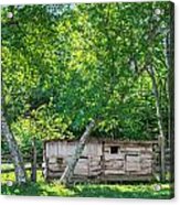 Hog Pen Acrylic Print