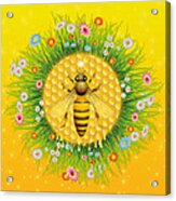 Honey Bee Acrylic Print