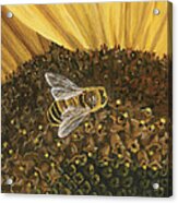 Honeybee On Sunflower Acrylic Print