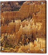 Hoodoos Bryce Canyon Utah Acrylic Print