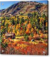 Hope Valley Fall Color Acrylic Print