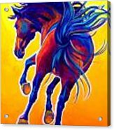 Horse - Kick Up Your Heels Acrylic Print