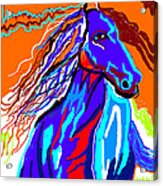 Horse-4 Acrylic Print