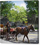 Horse And Buggy Acrylic Print