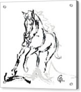 Horse- Andalusian Angel Acrylic Print