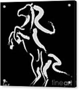 Horse -black And White Beauty Acrylic Print
