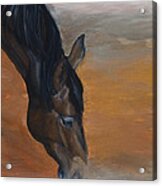 Horse - Lily Acrylic Print