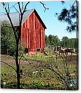 Horses On Michigan Farm Acrylic Print