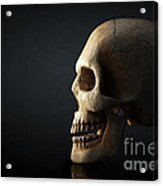 Human Skull Profile On Dark Background Acrylic Print