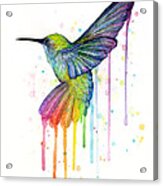 Hummingbird Of Watercolor Rainbow Acrylic Print