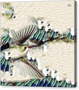 Hummingbird With Happy Feet Acrylic Print
