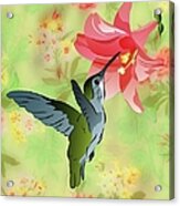 Hummingbird With Pink Lily Against Floral Fabric Acrylic Print