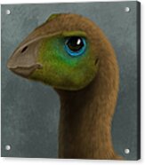 Hypsilophodon Dinosaur Portrait Acrylic Print