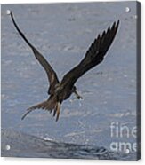 I Can Fly Acrylic Print