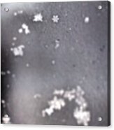 I Spy A Perfect Little Snowflake Acrylic Print