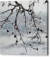 Ice Art Acrylic Print