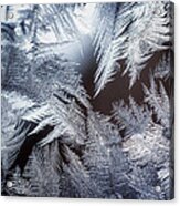Ice Crystals Acrylic Print