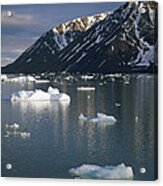 Ice Floes In Evening Light Spitsbergen Acrylic Print