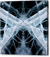 Ice Web Acrylic Print