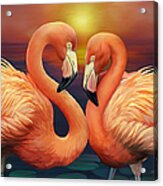 Illustration Of Flamingos Acrylic Print
