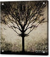 In A Symmetrical World Acrylic Print