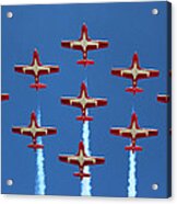 In Formation Acrylic Print
